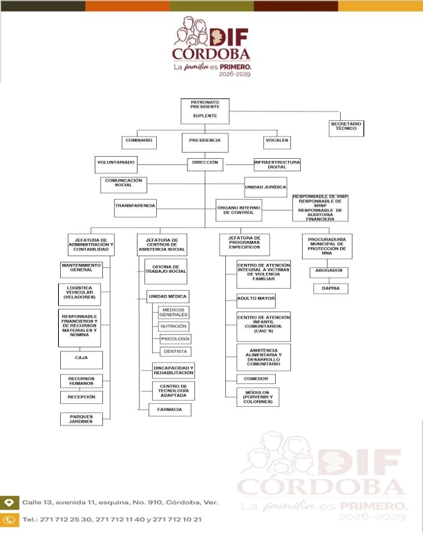 Organigrama 2026